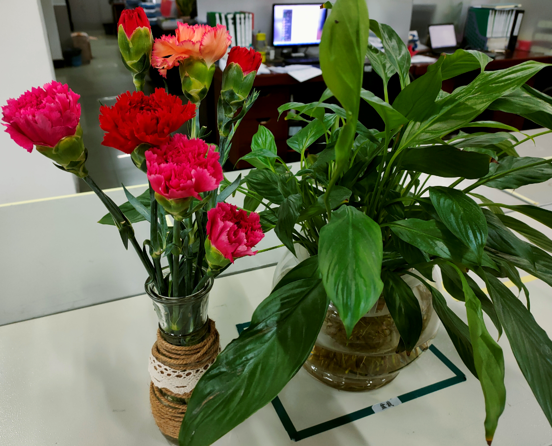 �������ǲ���(�й���)�ٷ���վ